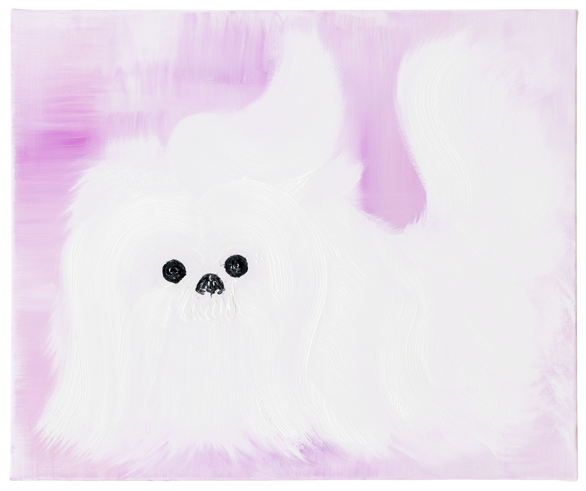 Abdul Vas. Pekingese. White Pekingese, 2017